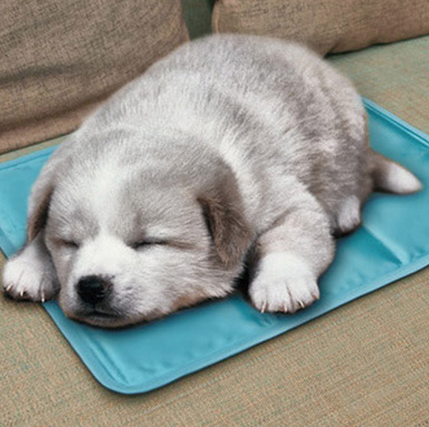 Cooling Gel Cushion-Home-Shoppy