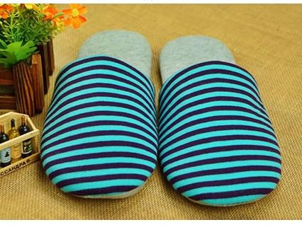 Foldable Travel/Home Cushion Slipper-Lifestyle-Shoppy