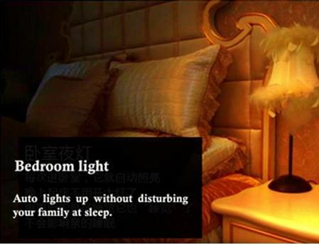 LED Sensor Light with Auto On/Off Function-Novelty-Shoppy