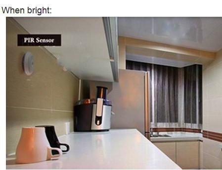 LED Sensor Light with Auto On/Off Function-Novelty-Shoppy