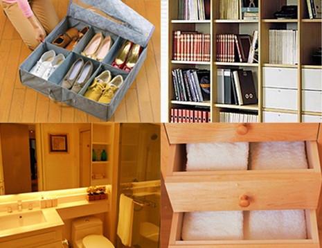 Natural Camphor Wood (5 Pieces)-Home-Shoppy