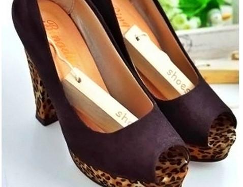 Natural Camphor Wood (5 Pieces)-Home-Shoppy