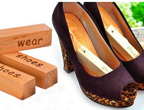 Natural Camphor Wood (5 Pieces)-Home-Shoppy