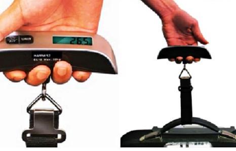 Set of Travel Buddies-Travel-Shoppy