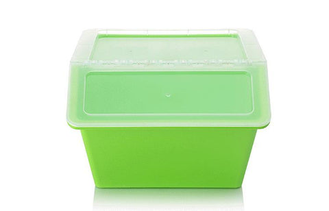 Shoppy Gosé Translucent Storage Box-Shoppy